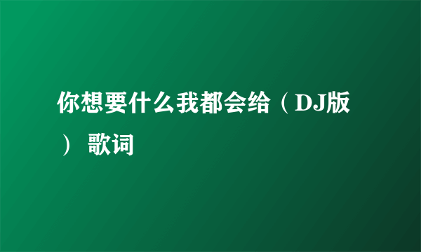 你想要什么我都会给（DJ版） 歌词