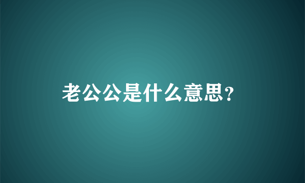 老公公是什么意思？