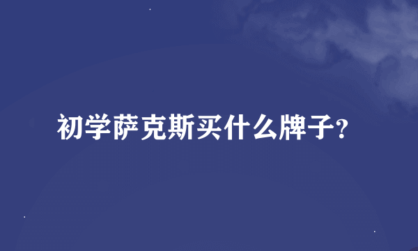 初学萨克斯买什么牌子？