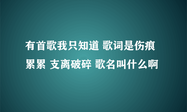 有首歌我只知道 歌词是伤痕累累 支离破碎 歌名叫什么啊