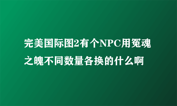 完美国际图2有个NPC用冤魂之魄不同数量各换的什么啊