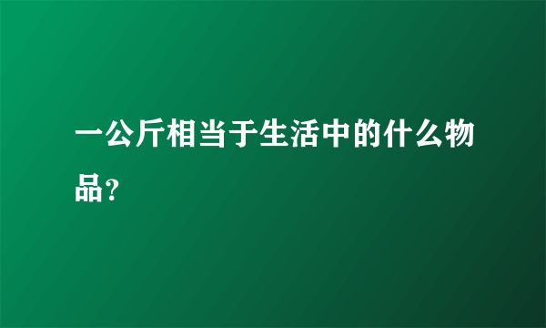 一公斤相当于生活中的什么物品？