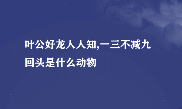 叶公好龙人人知,一三不减九回头是什么动物