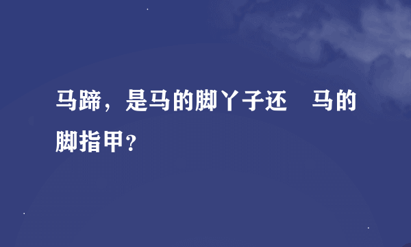 马蹄，是马的脚丫子还昰马的脚指甲？