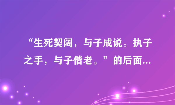 “生死契阔，与子成说。执子之手，与子偕老。”的后面一句，还有出处。