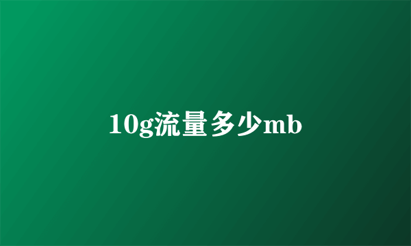 10g流量多少mb