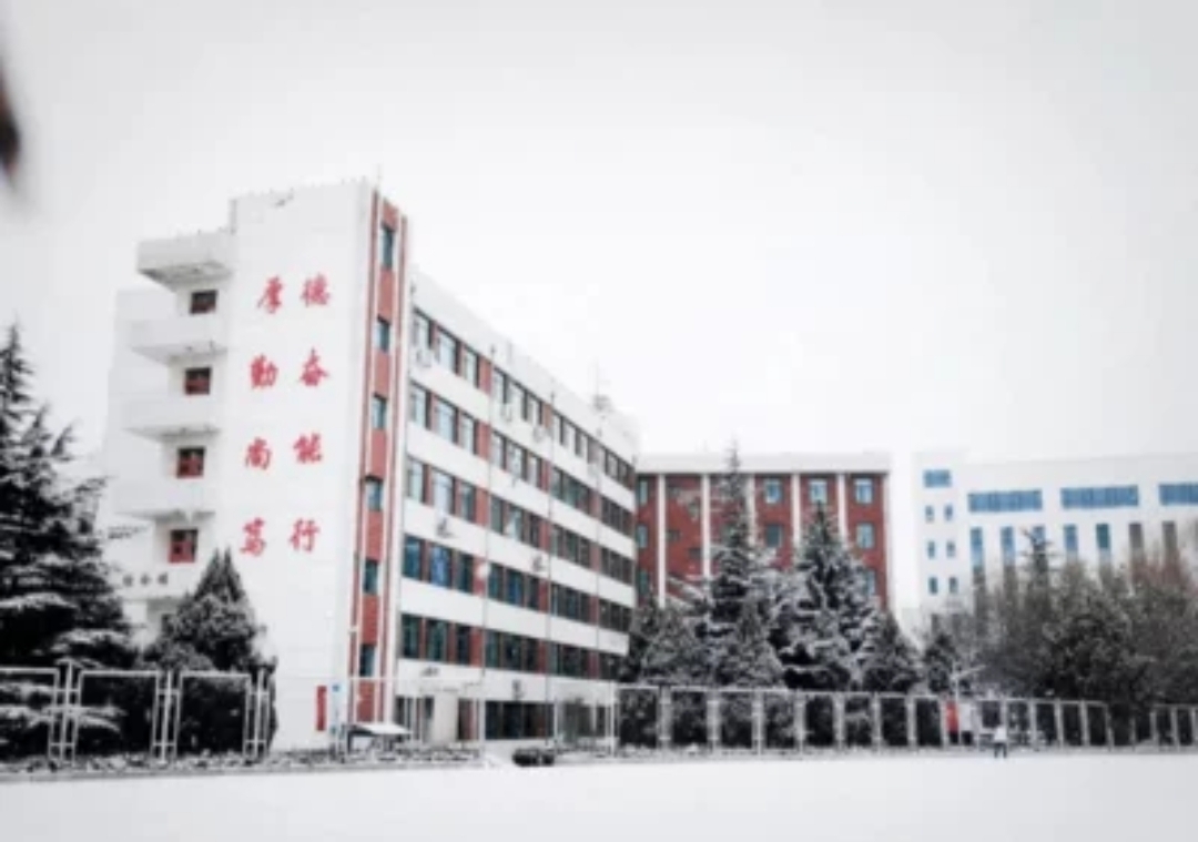 鞍山一学校组织家长自愿扫雪，有家长开着铲车来了，此举解决了哪些问题？