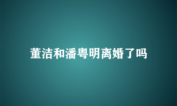 董洁和潘粤明离婚了吗