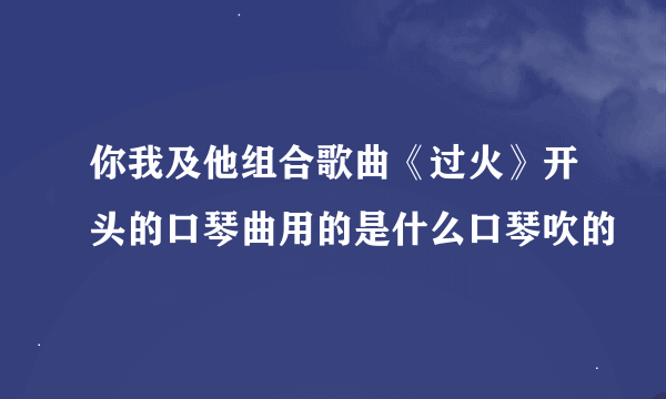 你我及他组合歌曲《过火》开头的口琴曲用的是什么口琴吹的