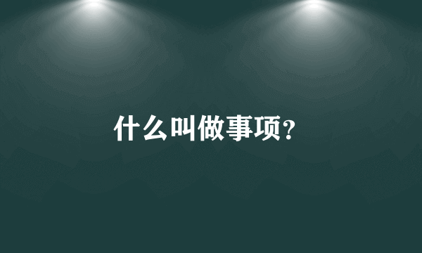 什么叫做事项？