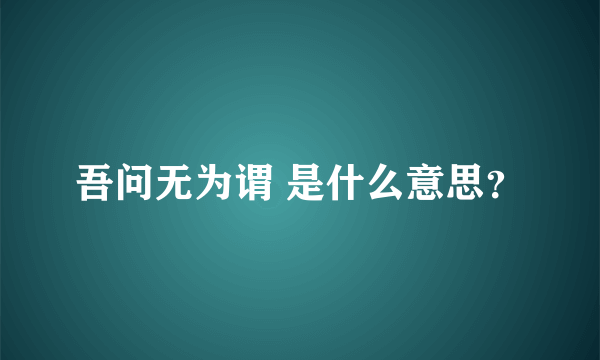 吾问无为谓 是什么意思？