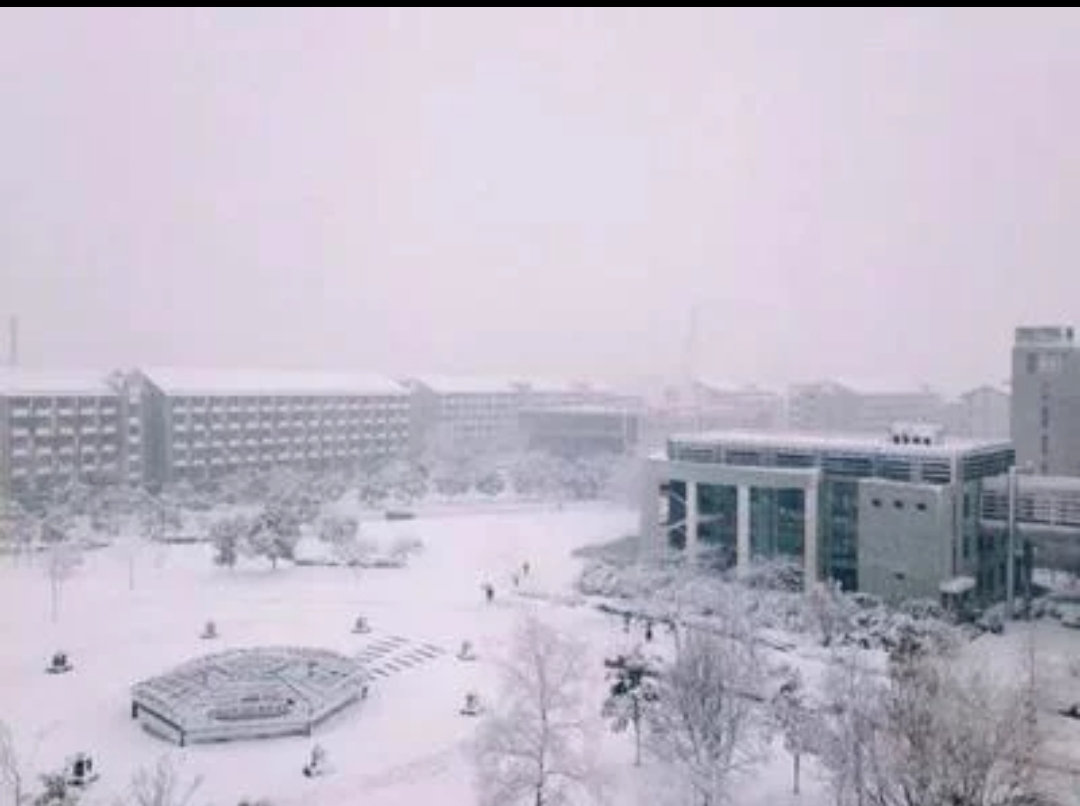 鞍山一学校组织家长自愿扫雪，有家长开着铲车来了，此举解决了哪些问题？