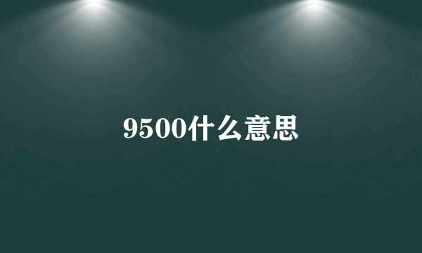 9500什么意思