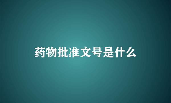 药物批准文号是什么