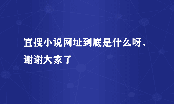 宜搜小说网址到底是什么呀，谢谢大家了