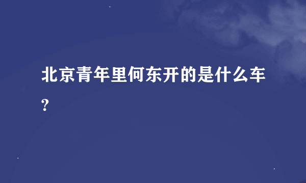 北京青年里何东开的是什么车?