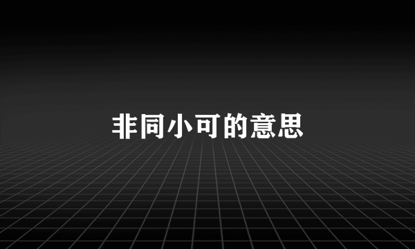 非同小可的意思