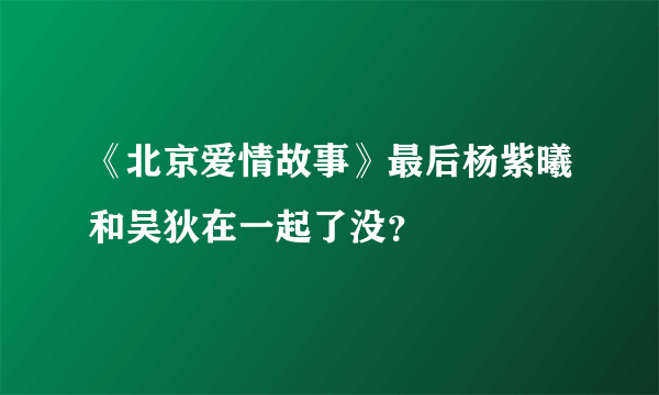 《北京爱情故事》最后杨紫曦和吴狄在一起了没？