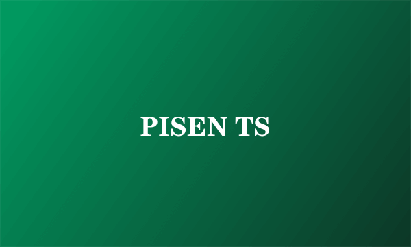 PISEN TS