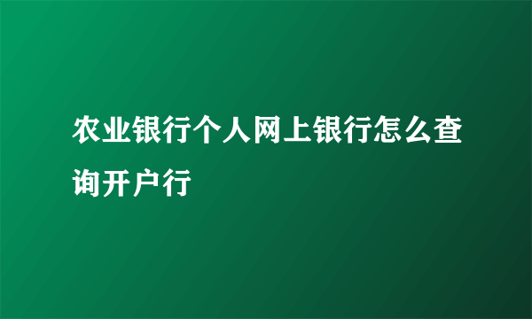 农业银行个人网上银行怎么查询开户行