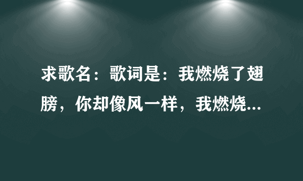 求歌名：歌词是：我燃烧了翅膀，你却像风一样，我燃烧了翅膀，到不了你身旁