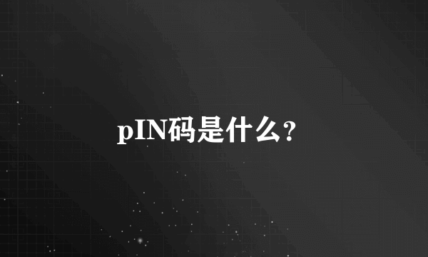 pIN码是什么？