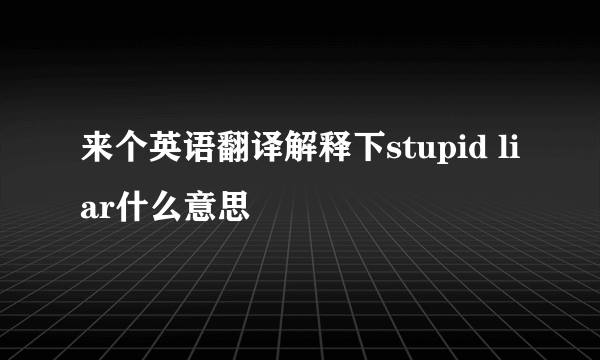 来个英语翻译解释下stupid liar什么意思