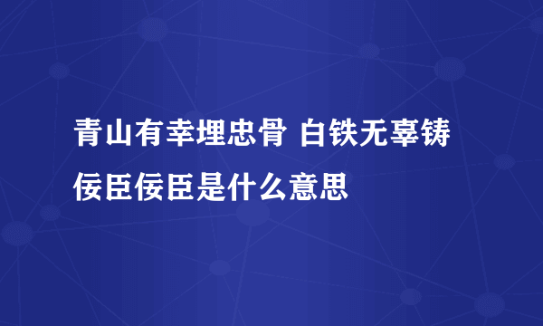 青山有幸埋忠骨 白铁无辜铸佞臣佞臣是什么意思