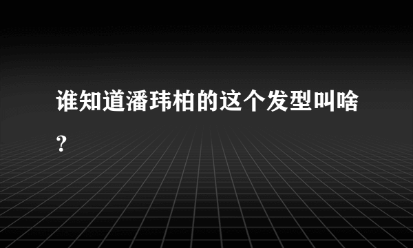 谁知道潘玮柏的这个发型叫啥？