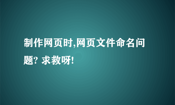 制作网页时,网页文件命名问题? 求救呀!