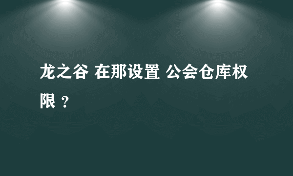 龙之谷 在那设置 公会仓库权限 ？