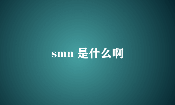 smn 是什么啊