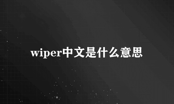 wiper中文是什么意思