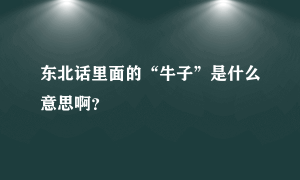 东北话里面的“牛子”是什么意思啊？