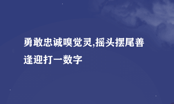 勇敢忠诚嗅觉灵,摇头摆尾善逢迎打一数字