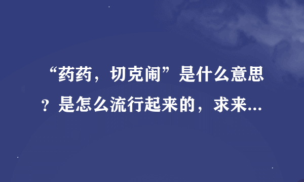 “药药，切克闹”是什么意思？是怎么流行起来的，求来源。感激不尽。