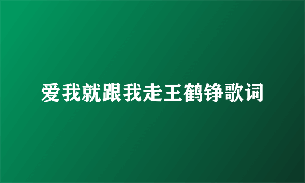 爱我就跟我走王鹤铮歌词