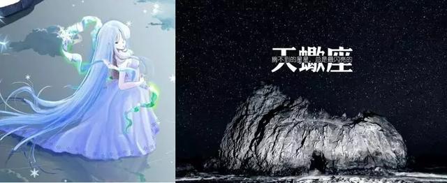 十二星座长相排名