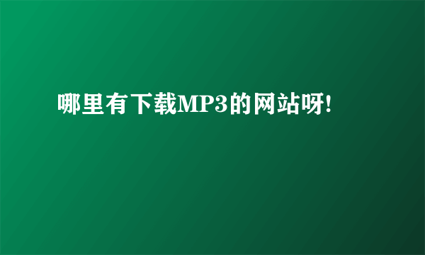 哪里有下载MP3的网站呀!