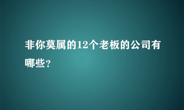 非你莫属的12个老板的公司有哪些？