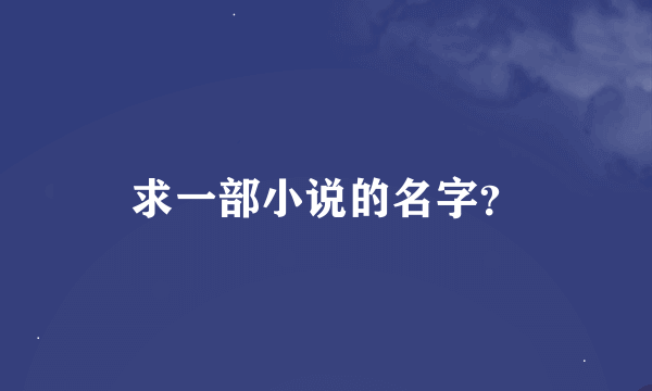 求一部小说的名字？