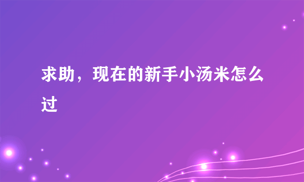 求助，现在的新手小汤米怎么过