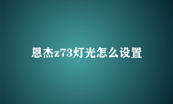 恩杰z73灯光怎么设置