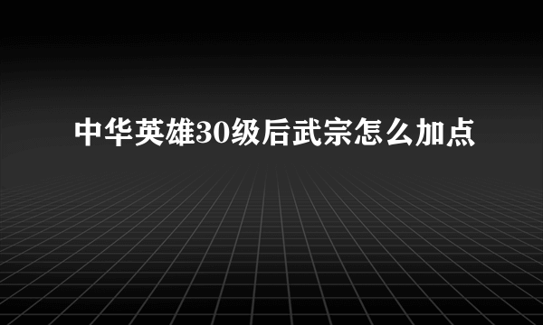 中华英雄30级后武宗怎么加点