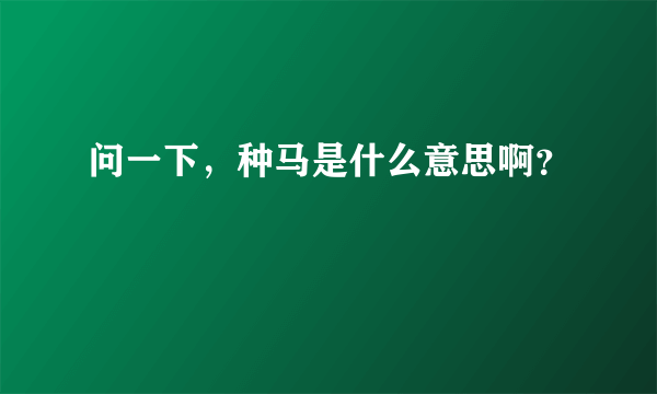 问一下，种马是什么意思啊？