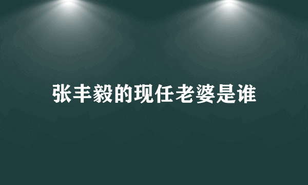 张丰毅的现任老婆是谁