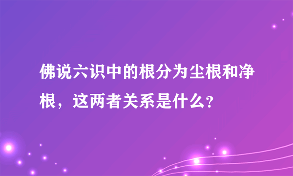 佛说六识中的根分为尘根和净根，这两者关系是什么？