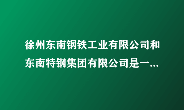 徐州东南钢铁工业有限公司和东南特钢集团有限公司是一家公司吗?