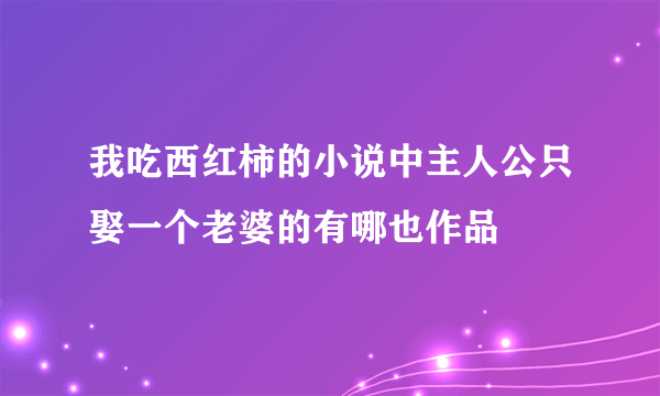 我吃西红柿的小说中主人公只娶一个老婆的有哪也作品