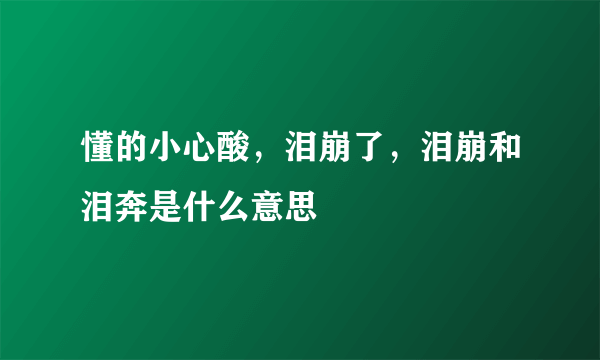 懂的小心酸，泪崩了，泪崩和泪奔是什么意思